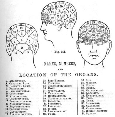 Phrenology Map